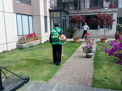 園林養(yǎng)護案例