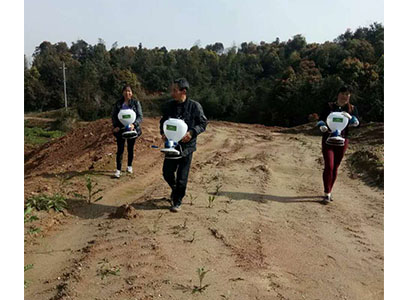 園林養(yǎng)護案例