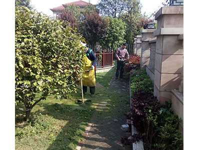 園林養(yǎng)護案例