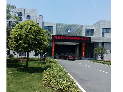 園林養(yǎng)護案例