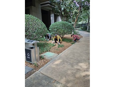 芙蓉區馬王堆街道紅橡華園小區