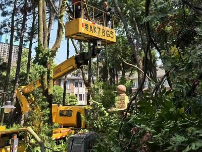 望城區雷鋒鎮山水英倫別墅區